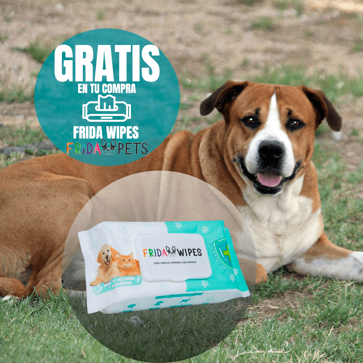 Pack Nupec 20 latas Weight Control para perro adulto con Frida Wipes de regalo